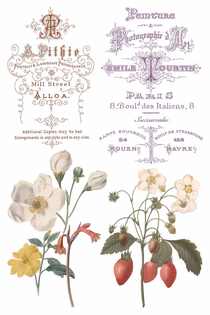 IOD Transfer Saint Ouen