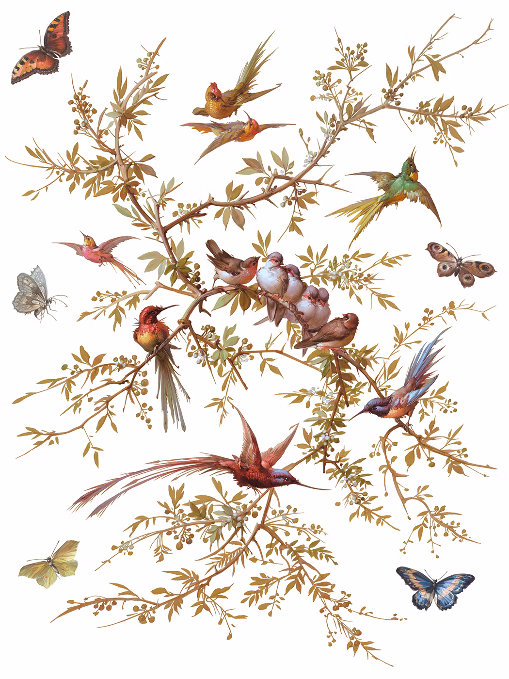 IOD Transfer Madeleine