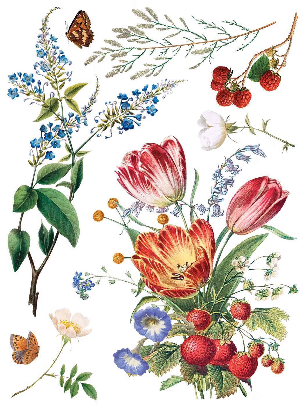 IOD Transfer Marche des Fleurs - på ingång
