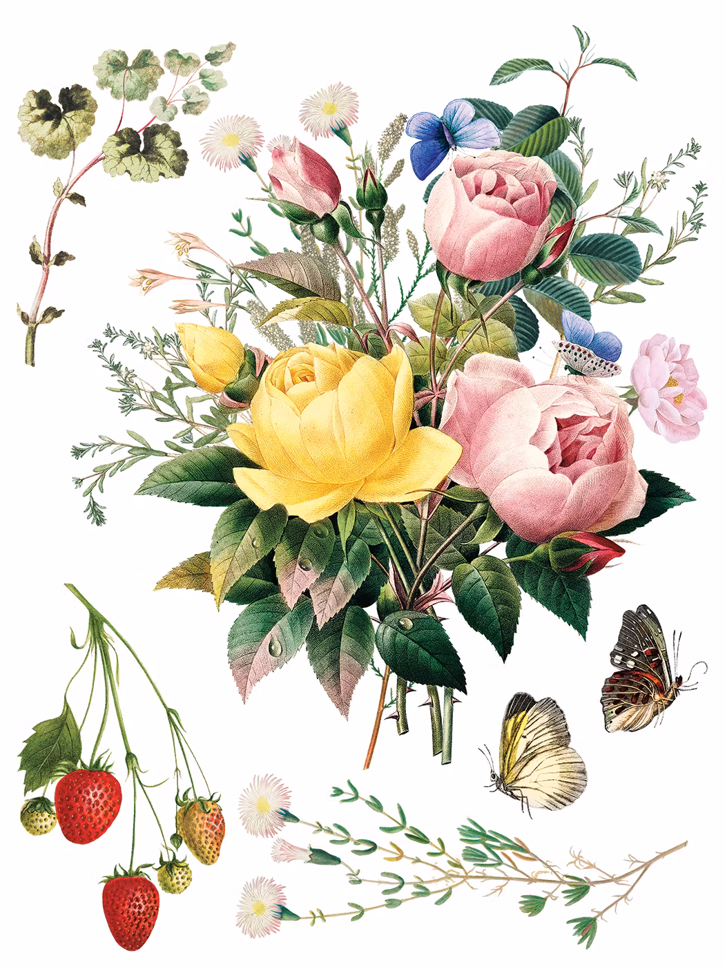 IOD Transfer Marche des Fleurs - på ingång