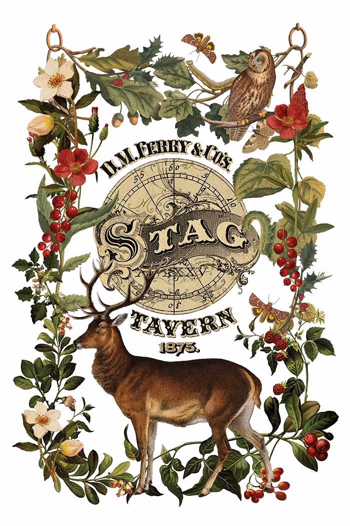 IOD Transfer Stag Tavern - På ingång