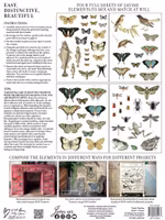 IOD Transfer Entomology Etcetera