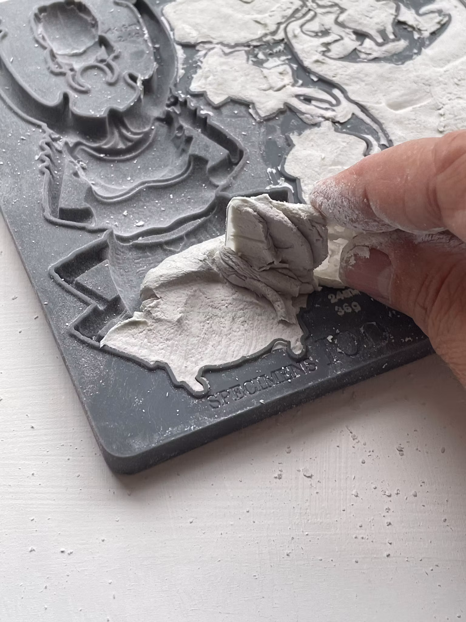 IOD Moulds Specimens - På ingång