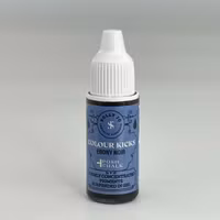 Posh Chalk Colour Kicks 25 ml - Ebony Noir