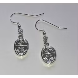 Örhängen silver Spåtrumma