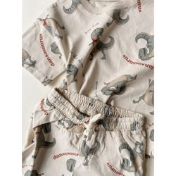 Dansosaurus T-shirt & Shorts - Konges Slöjd