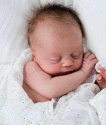 Sleeping Cutie Muslin Swaddle - Livly