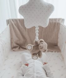 Teddy Tay Musical Toy - Livly