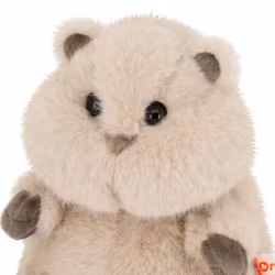 Hamster