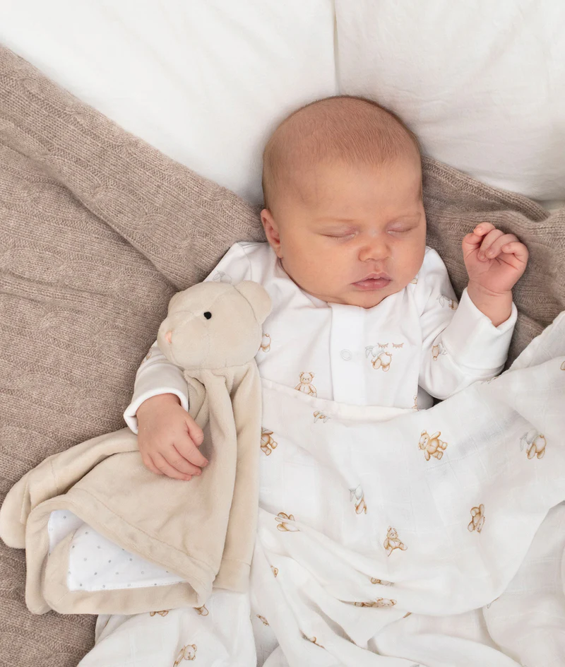 Cuddle Buddy Teddy Tay - Livly