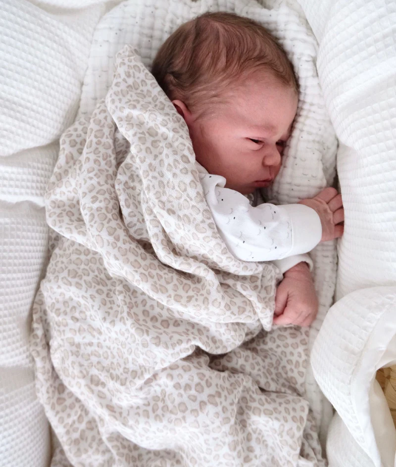 Baby Leo Swaddle - Livly