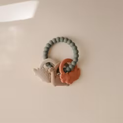Bitring dinos - Mushie