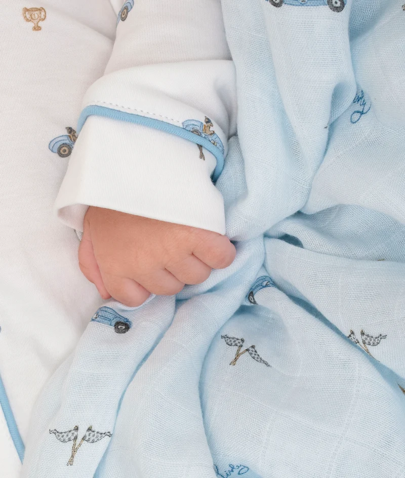 Cars Swaddle - Livly
