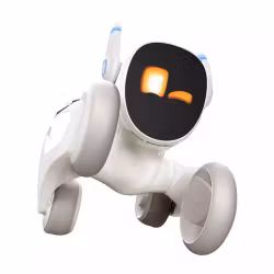 Loona Premium Robot Med Laddningsstation