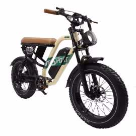 ONESPORT W66