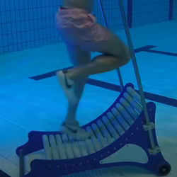 Audapool Pool Trac Curve