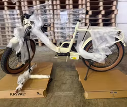 OneSport OT16-2 Classic (Demo)