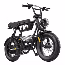 COSWHEEL Y16 – kompakt fatbike med full fjädring och kraftfull 750W-motor