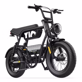 COSWHEEL Y16 – kompakt fatbike med full fjädring och kraftfull 750W-motor