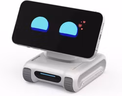 LOOI robot