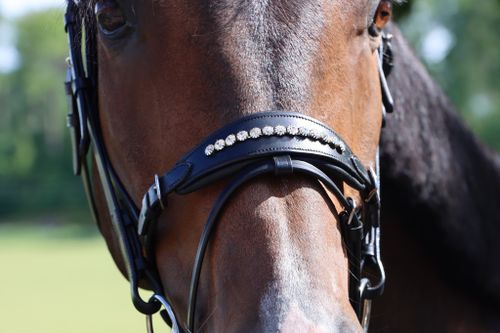 DIVOYH Aachen Silver
