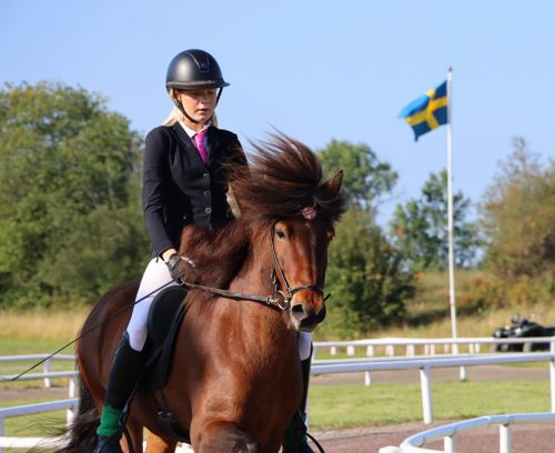 Lindö Pink