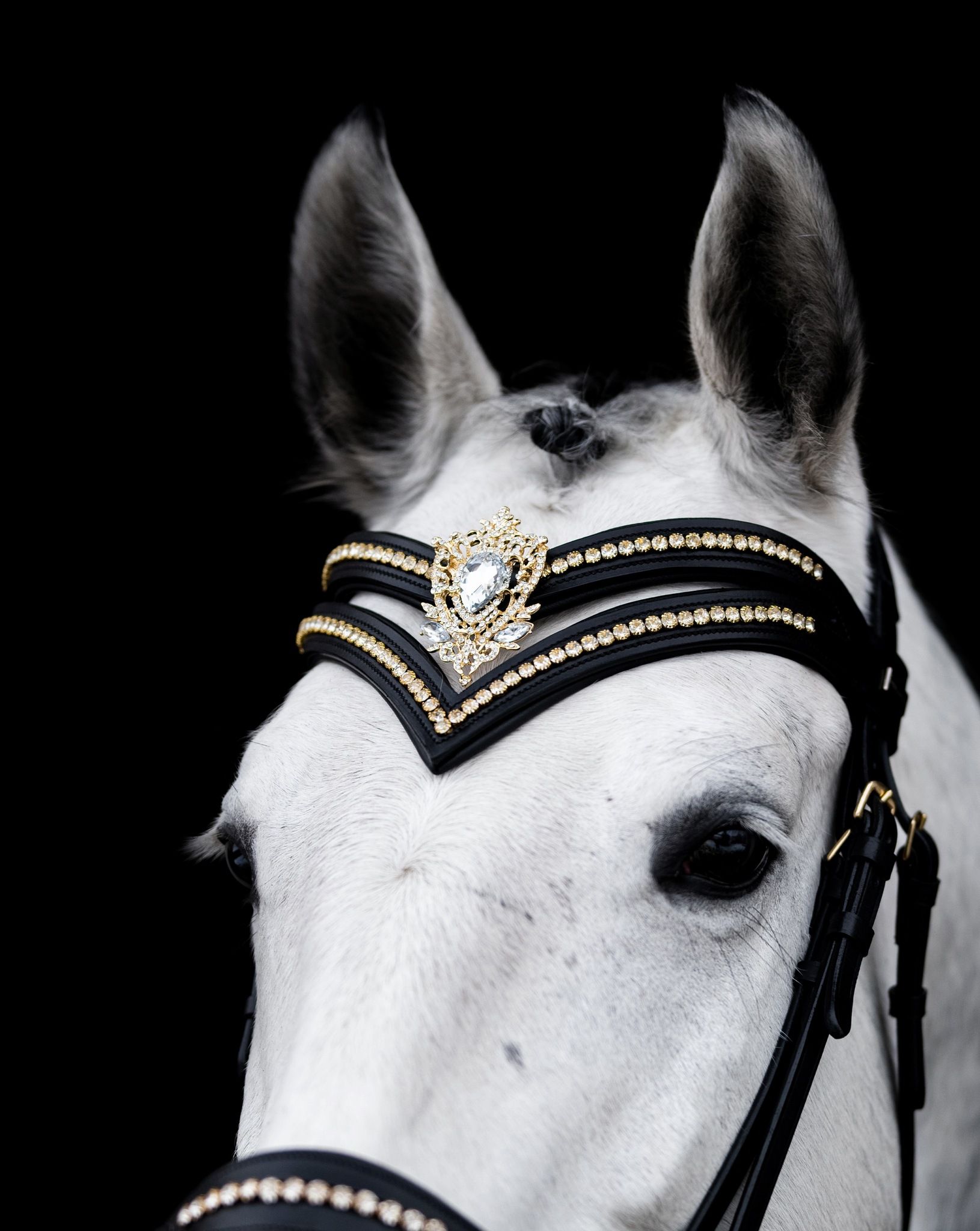 Dorotea Gold