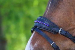 DIVOYH Aachen Blue