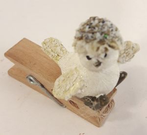 Söt liten fågel med klädnypa