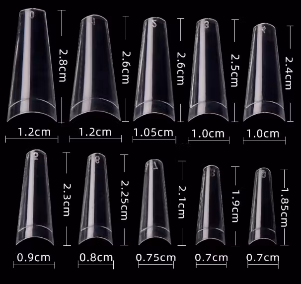 Clear Medium coffin c-curve 500 pcs in 10 sizes