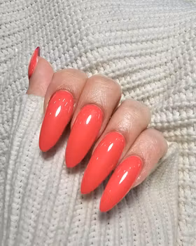 Pro Gelcolor - 204
