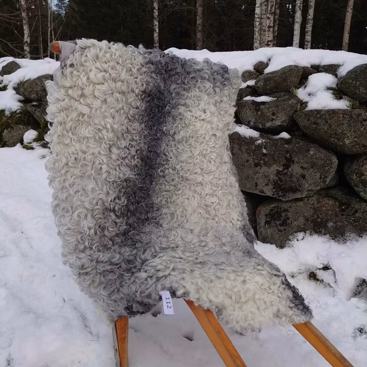 Fårskinn från gotlandsfår, nr 112