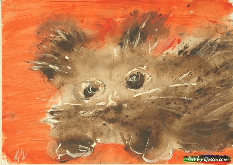 Den lilla söta katten