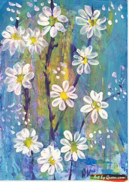 Prästkragar blommar