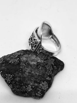 Ring 73