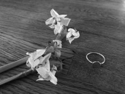 Ring Return