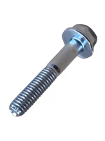 M6x60 Flänsskruv SLÄT 8.8 FZB