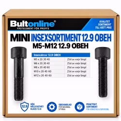 Mini Insexsortiment M5–M12 12.9 OBEH + COB LED-Pannlampa på köpet!