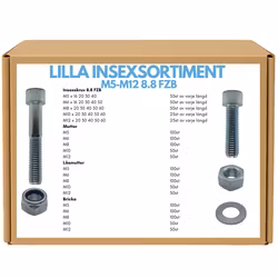 Insexsortiment M5–M12 8.8 FZB 25 KG + Batteridriven Skruvmejsel 3,6V på köpet!