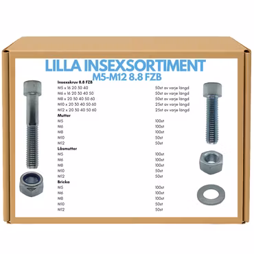 Insexsortiment M5–M12 8.8 FZB 25 KG + Batteridriven Skruvmejsel 3,6V på köpet!