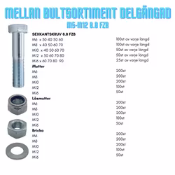 Mellan bultsortiment delgängat M6-M16 FZB