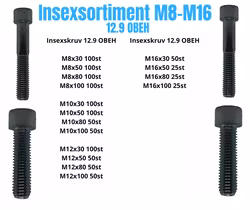 Insexsortiment M8-M16 12.9 Obeh 55KG!