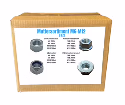 Muttersortiment M6-M12 8.8 FZB 20KG!