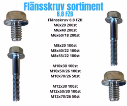 Flänsskruv sortiment M6-M12 FZB 30KG!