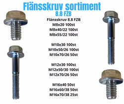 Flänsskruv sortiment M8-M16 FZB 40KG!