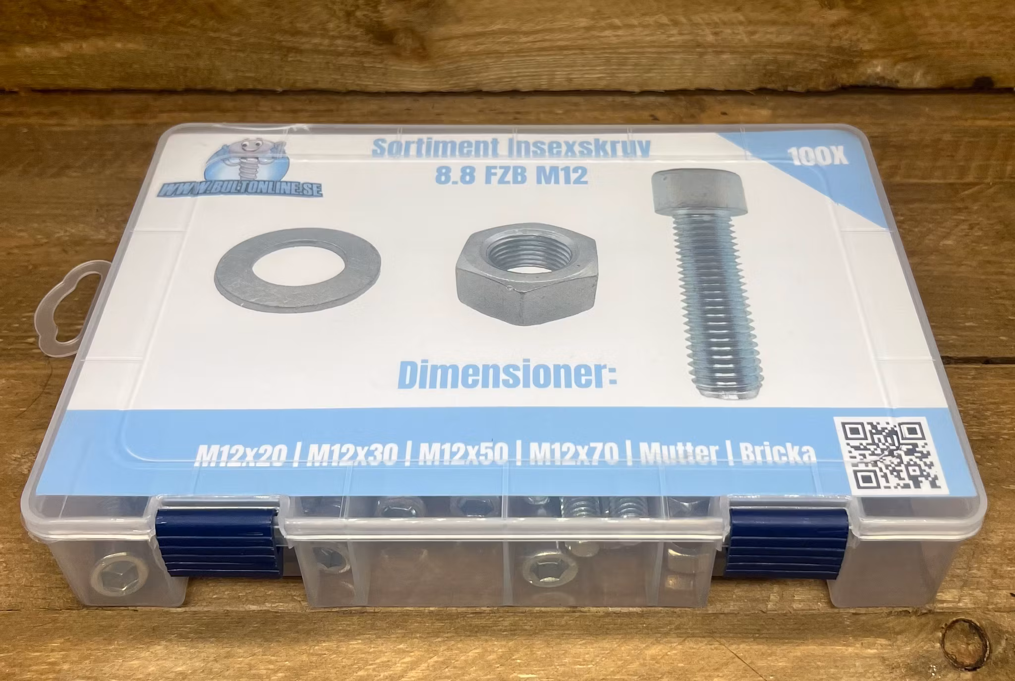 Sortiment Insexskruv 8.8 FZB M12 100 Delar