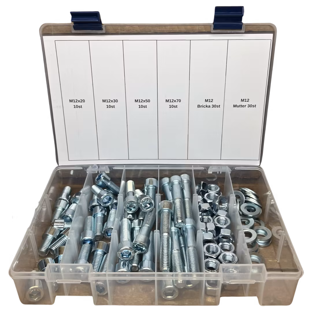 Sortiment Insexskruv 8.8 FZB M12 100 Delar