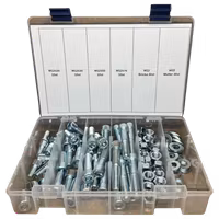 Sortiment Insexskruv 8.8 FZB M12 100 Delar