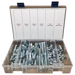 Sortiment Insexskruv 8.8 FZB M12 100 Delar