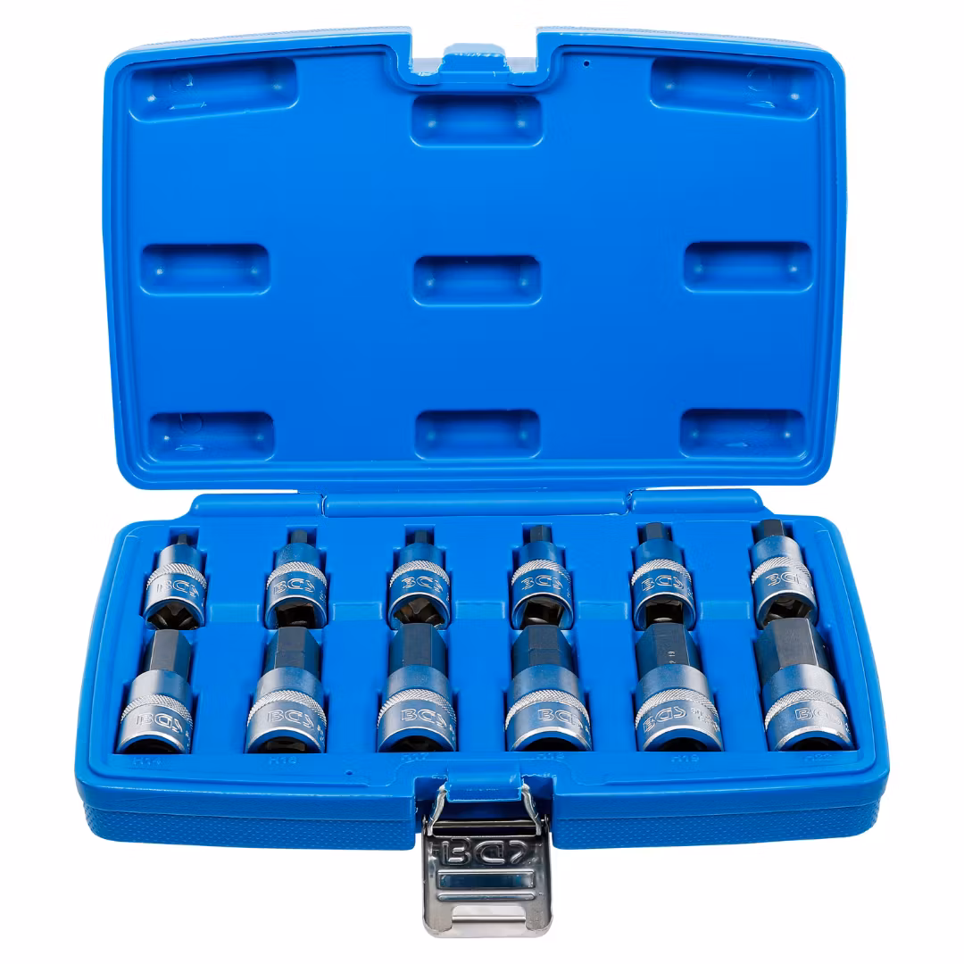 Bit-Insats-sats (1/2") Inre sexkant 5-22 mm 12 delar